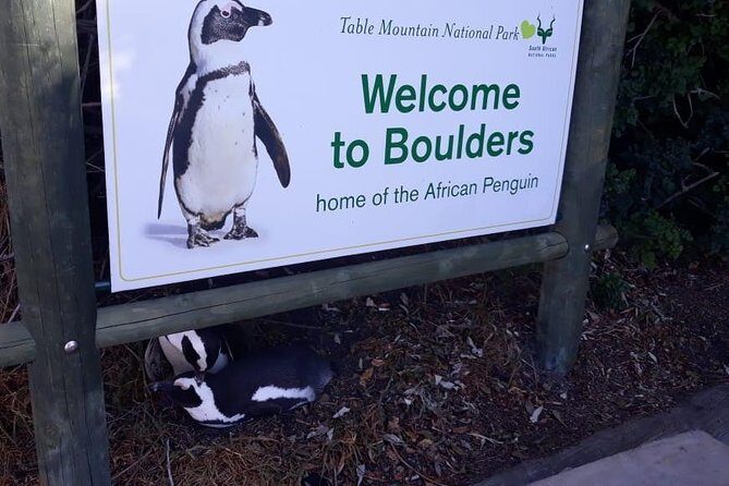 Cape of Good Hope and Penguins - Small Group - Full day - Boulders Beach Penguin Colony: Close-Up Photos Without the Hassle