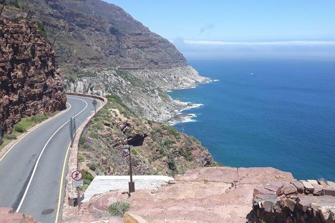 Cape of Good Hope and Penguins - Small Group - Full day - Ride Comfort, Small-Group Flow, and the Guide Factor