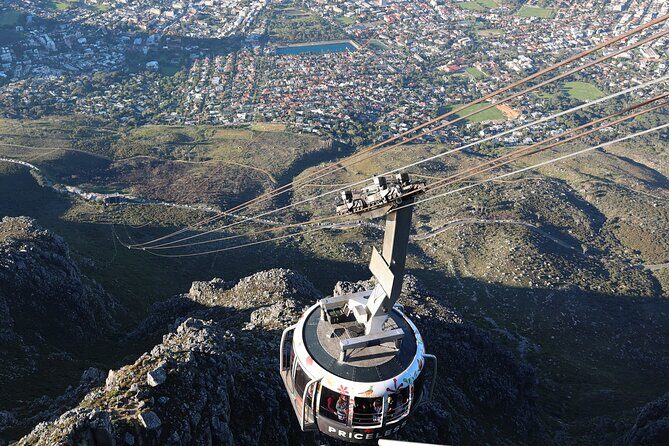 Cape Of Good Hope and Table Mountain Day Trip from Cape Town parks fees include - Why This Cape Peninsula Route Works Better as a Private Day