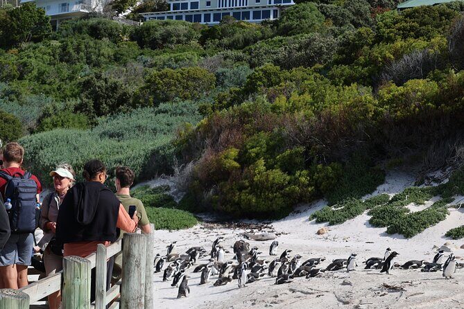 Cape Of Good Hope and Table Mountain Day Trip from Cape Town parks fees include - Who This Tour Fits Best (and Who Might Feel It’s Too Much)