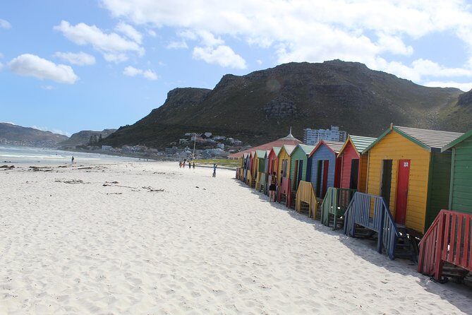 Cape Of Good Hope Bo-Kaap Penguins Full Day tour From Cape Town - Seal Island option: worth it if wildlife is your priority