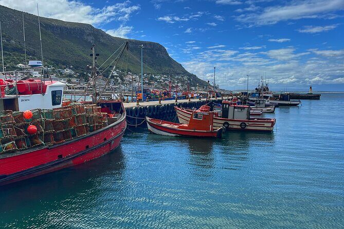 Cape of Good Hope Cape Point for groups - Llandudno Beach, Camps Bay, and Hout Bay for seals and sea views