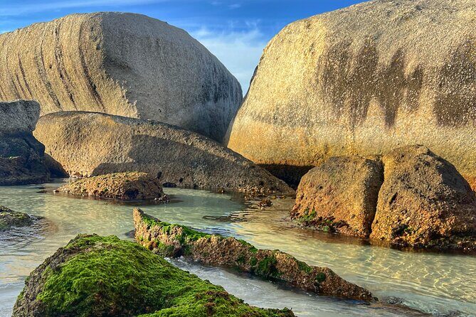 Cape of Good Hope Cape Point for groups - Pricing and what those Rand entry fees really add up to