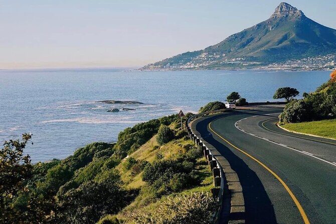 Cape of Good Hope, Cape Point, Penguins & Bo Kaap Full-Day Tour - Cape Point Nature Reserve: Dias Cross and the meeting of currents