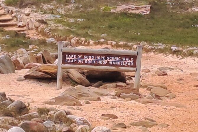 Cape of Good Hope-Cape Point & Penguins from Cape Town - Pickup, Timing, and How the Route Flows (9:00am to a Late Afternoon Finish)