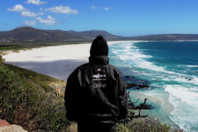 Cape of Good Hope, Cape Point & Penguins Private customizable Full Day Tour - Cape Point lighthouse or funicular: choose your hike