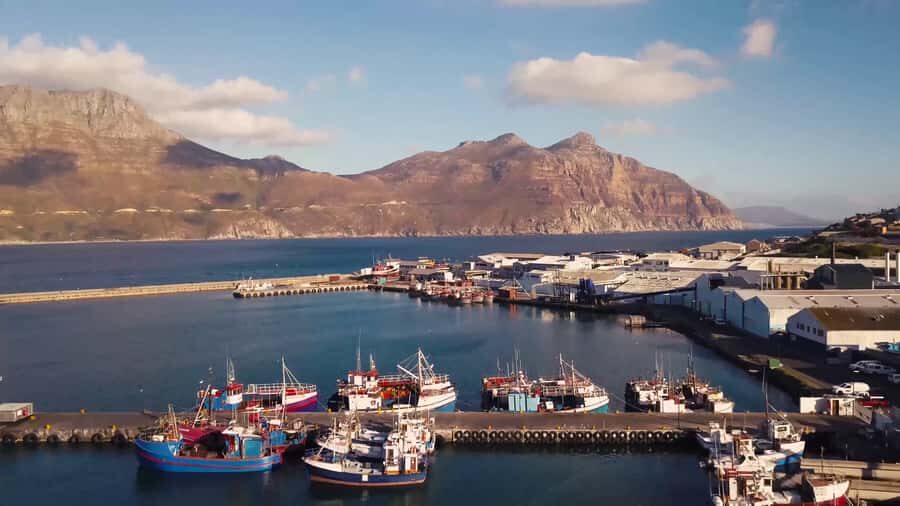 Cape of Good Hope Full-Day Private Tour - Chapmans Peak and the Twelve Apostles viewpoints you can’t fake