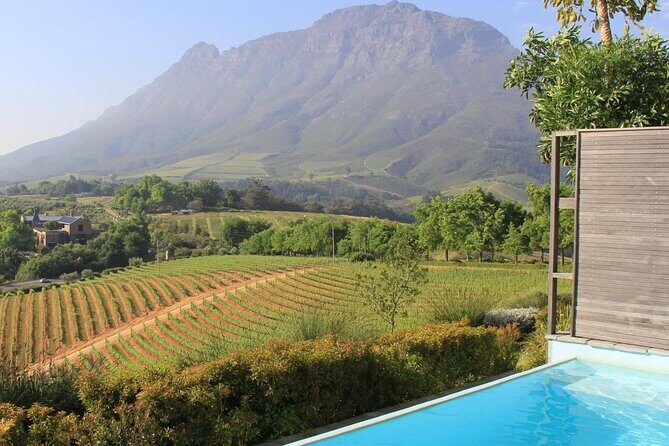 Cape of Good Hope Helicopter Private Tour with Stellenbosch Wine Tasting & Lunch - Key Things I’d Book This For