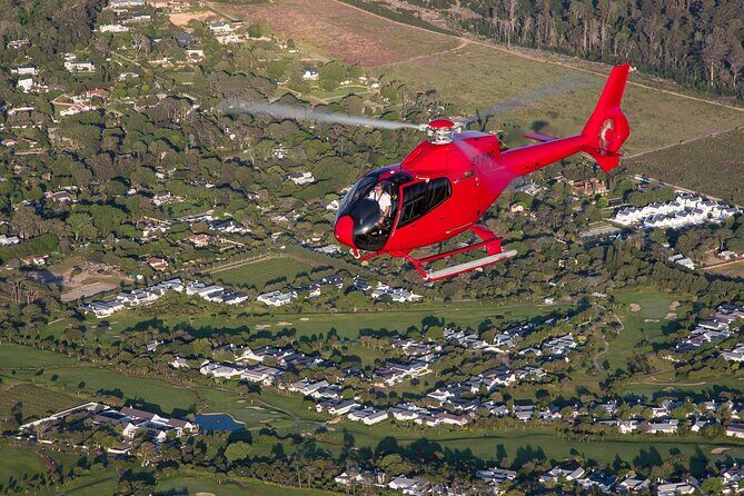 Cape of Good Hope Helicopter Private Tour with Stellenbosch Wine Tasting & Lunch - Wildlife Reserve Visits: Cheetahs, Plus the Bigger Predators