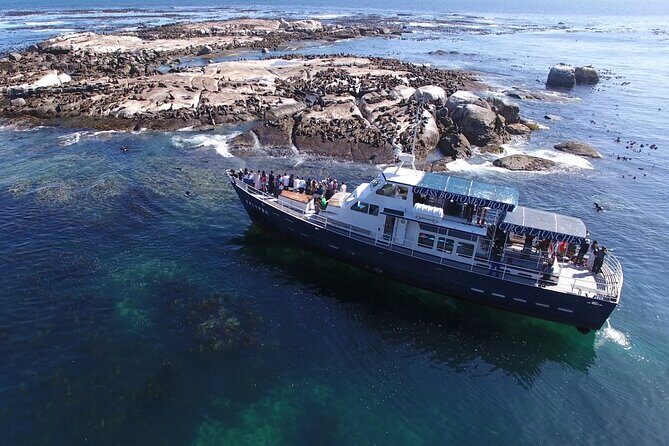 Cape of Good Hope & Penguins from Cape Town Full-Day Private Tour - A Full Cape Day in One Vehicle (and Why That Matters)