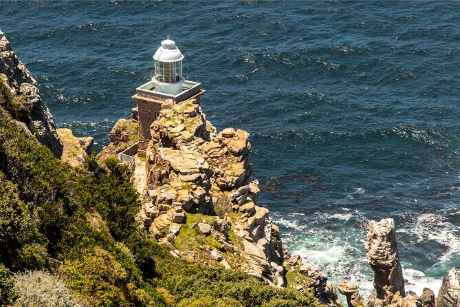 Cape of Good Hope & Penguins Full Day Tour From (The Mother City) Cape Town. - Hout Bay seals at Duiker Island: the part you pay for