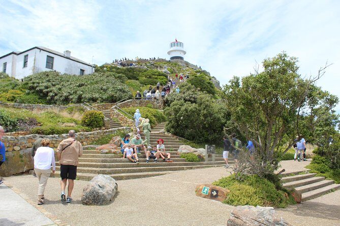 Cape Of Good Hope, Penguins Private Tour from Cape Town full day - Hout Bay Harbor Time and the Optional Seal Island Boat