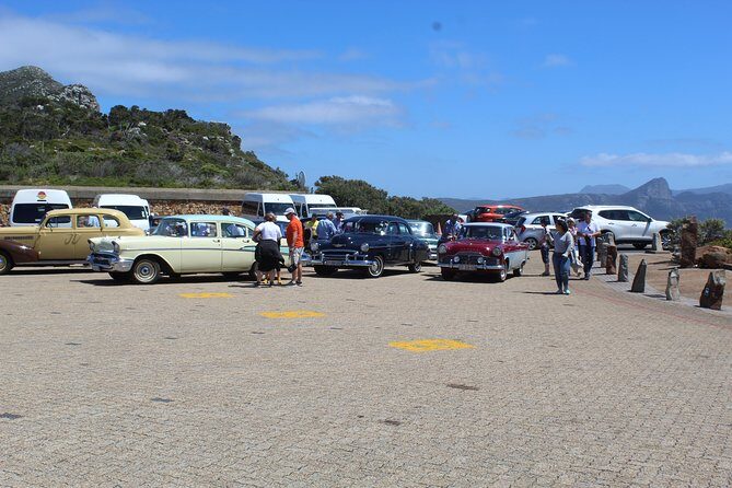 Cape Of Good Hope, Penguins Private Tour from Cape Town full day - Boulders Beach Penguins: Boardwalk Up Close or Swim Where Allowed