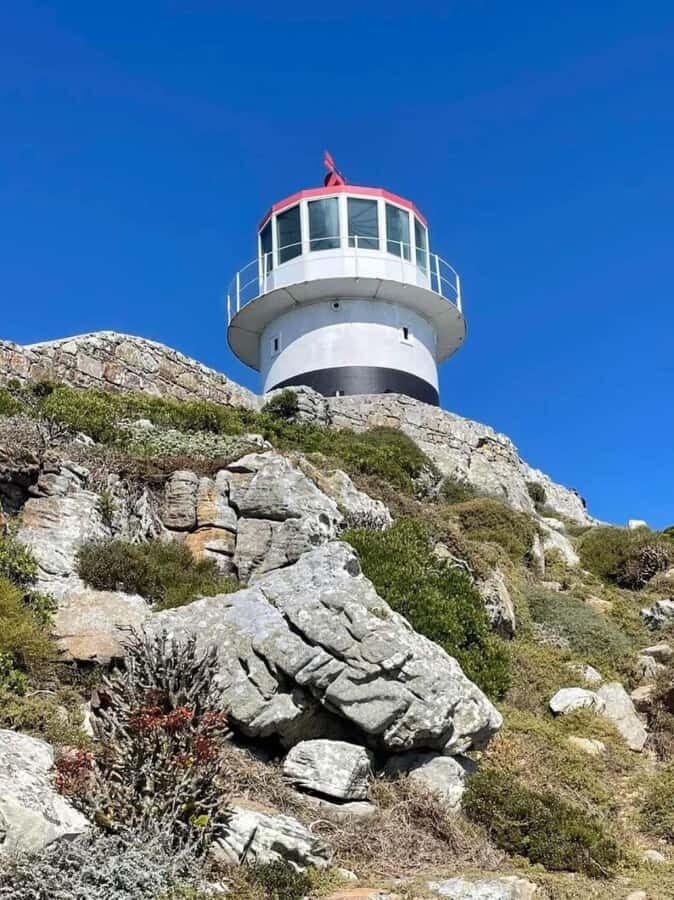Cape of Good Hope & Penguins Shared Tour - Seal Island: Cape fur seals in the waves