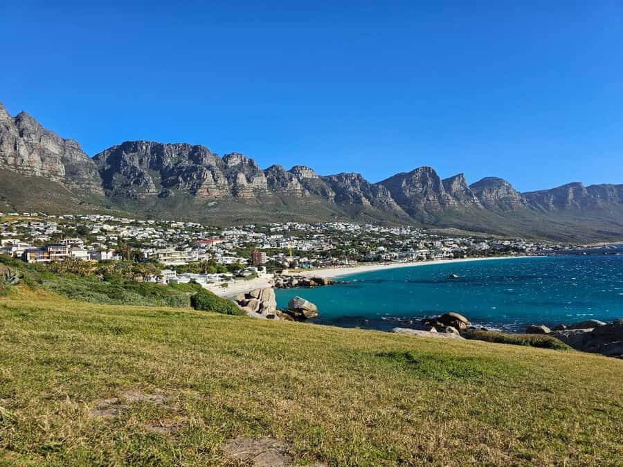 Cape of Good Hope & Penguins Shared Tour - Wildlife contrast you can’t easily DIY in one day
