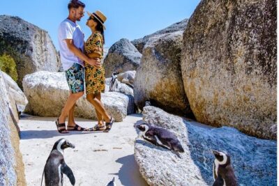 Cape of Good Hope & Penguins Small Group Tour from Cape Town - Pickup, Timing, and the Reality of a 9-Hour Day