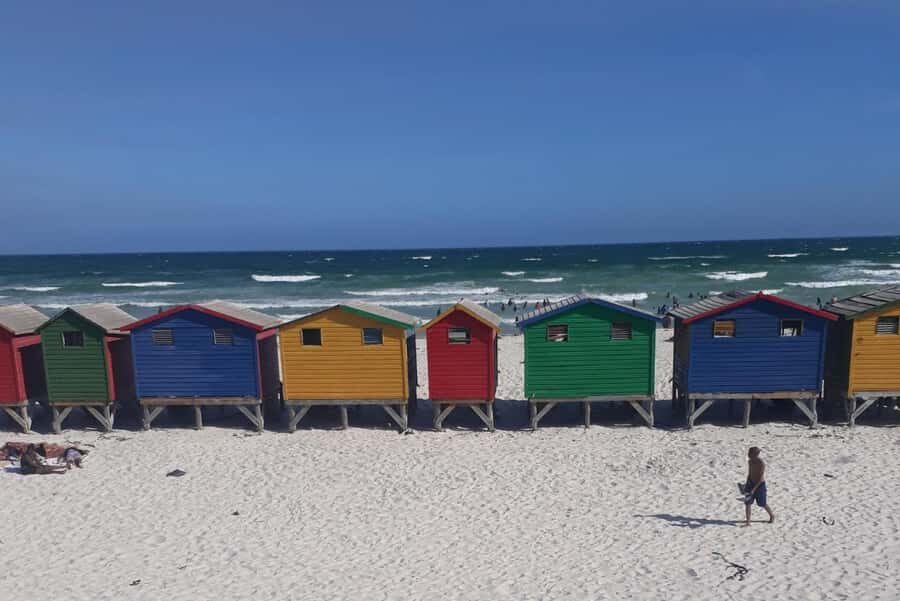Cape of Good Hope: Sightseeing and African Penguins Tour - Chapman’s Peak Drive: Scenic Paying Off in Less Time