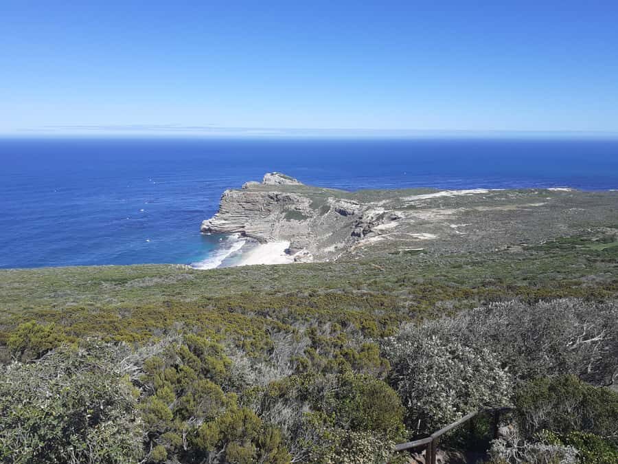 Cape of Good Hope: Sightseeing and African Penguins Tour - Simon’s Town Lunch and the Wildlife Shift Toward the Cape of Good Hope