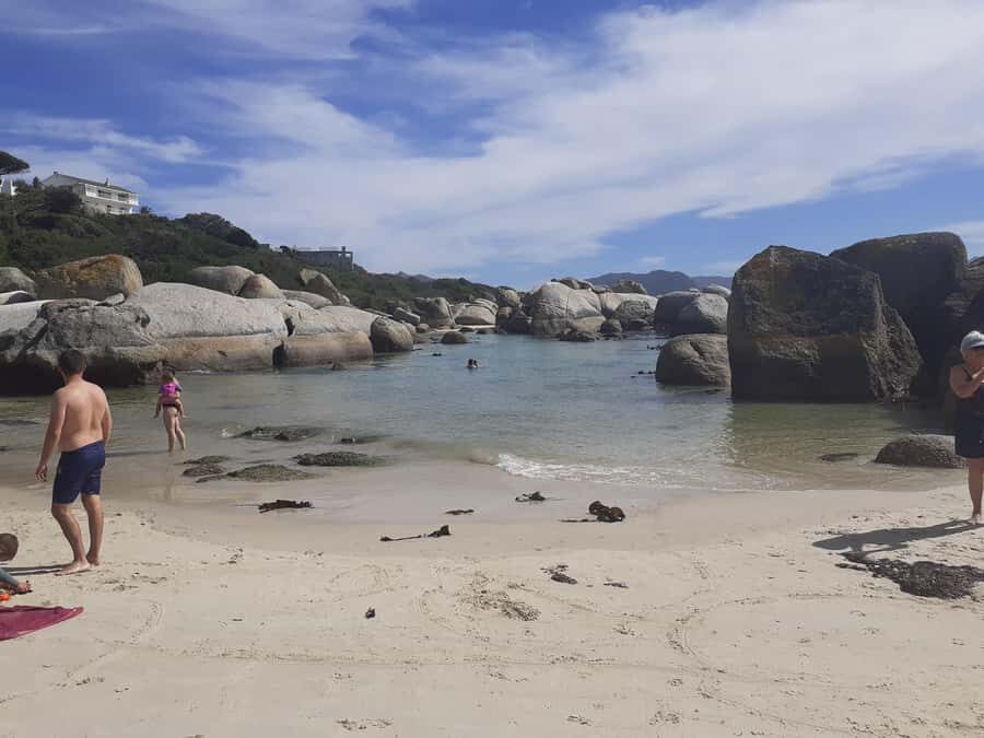Cape of Good Hope: Sightseeing and African Penguins Tour - Cape Point and the New Cape Point Lighthouse Area