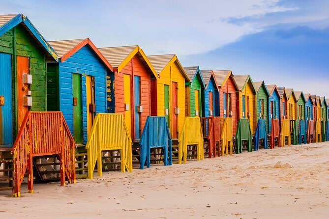 Cape of Good Hope, Table Mountain & Penguins Private Tour from Cape Town - A Optional Coffee Detour at Noordhoek Farm Village