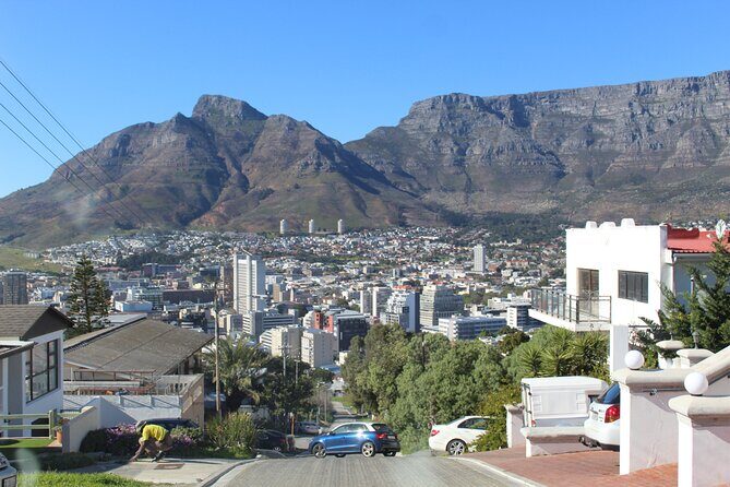Cape of Good Hope, Table Mountain & Penguins Tour + All Tickets - Stop 2: Table Mountain National Park and the 360-degree top