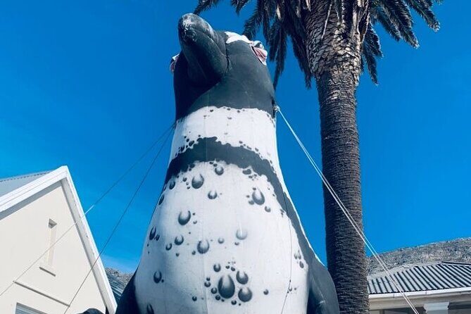 Cape of Good hope,penguin Beach, Table Mountain, Campsbay - Price and What You Actually Get for $50
