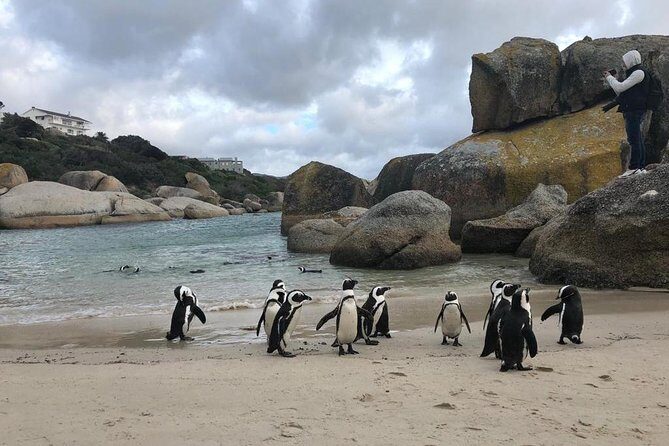 Cape Peninsula Adventure - Muizenberg Finish: Coastal Towns and a Surf-Culture Ending