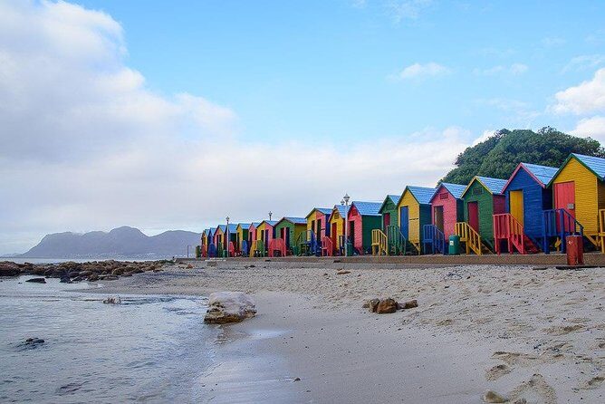 Cape Peninsula and Boulders Full Day Tour with Private Transfer - Duiker Island seal cruise: the optional glass-bottomed detour