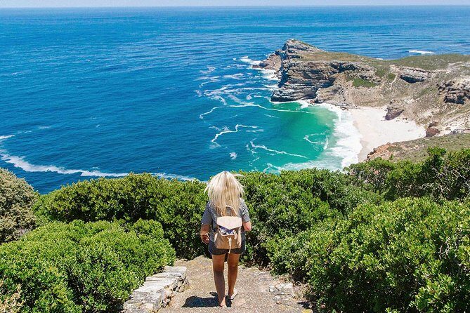 Cape Peninsula and Boulders Full Day Tour with Private Transfer - Muizenberg and the return: a beach pause before the drive back