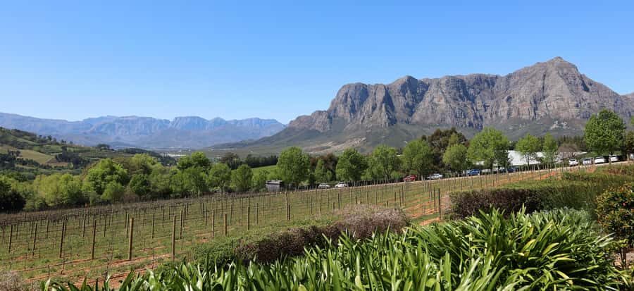 Cape Peninsula and Winelands Private Full-Day Combo Tour - Constantia Glen: wine, cheese, and food pairing that feels practical