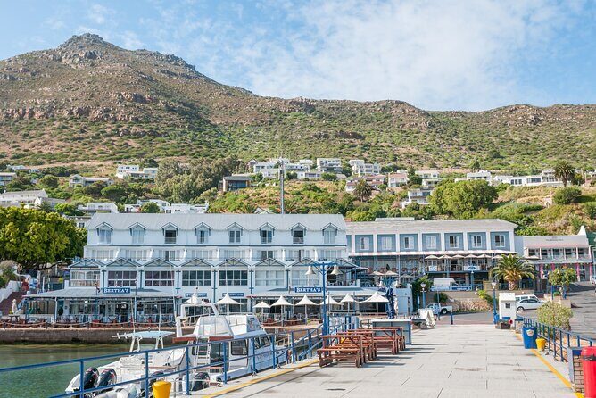 Cape Peninsula & Boulders Beach Day Trip from Cape Town - Chapman’s Peak Drive: A Toll-Free Thrill (and a Reality Check)