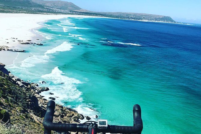 Cape Peninsula Cycle Tour - Boulders Beach penguins: the stop that makes the morning worth it