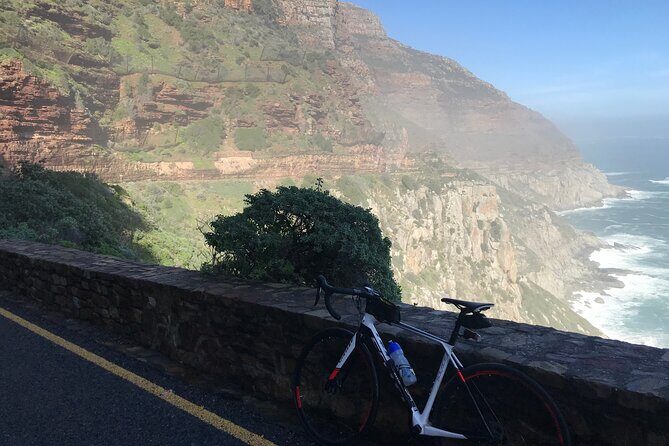 Cape Peninsula Cycle Tour - Cape Point Ostrich Farm: an on-route wildlife detour