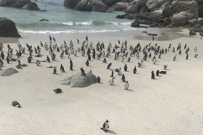 Cape Peninsula Cycle Tour - Ending in Camps Bay: how to use the finish well