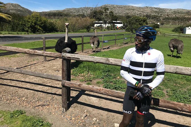Cape Peninsula Cycle Tour - Price and value: what $149.43 buys you on the peninsula