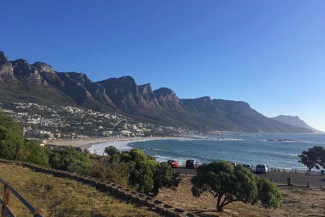 Cape Peninsula E-bike Cycle with Vehicle - Private Tour - Boulders Beach and African Penguins: the main nature payoff