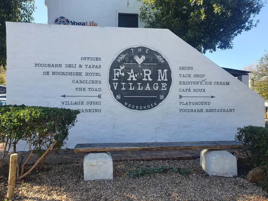 Cape Peninsula Full Day Tour In Private Car - Cape Peninsula in a Private Car: Why 9 Hours Works