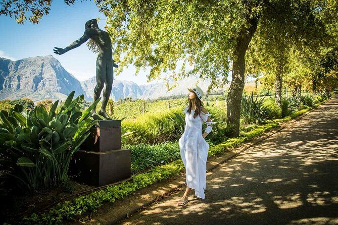 Cape Peninsula Helicopter Private Tour with Stellenbosch Wine Tasting & Lunch - Quick Practical Tips Before You Go