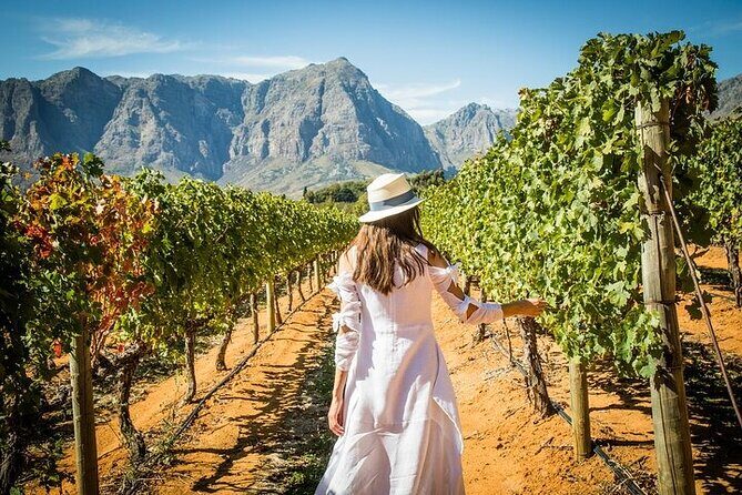 Cape Peninsula Helicopter Private Tour with Stellenbosch Wine Tasting & Lunch - Should You Book This Helicopter and Wine Day?
