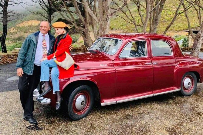 Cape Peninsula in a Vintage Car (Penguins, Cape Point & Chapman's Peak drive) - Why a Vintage Car Chauffeur Day Beats the Bus