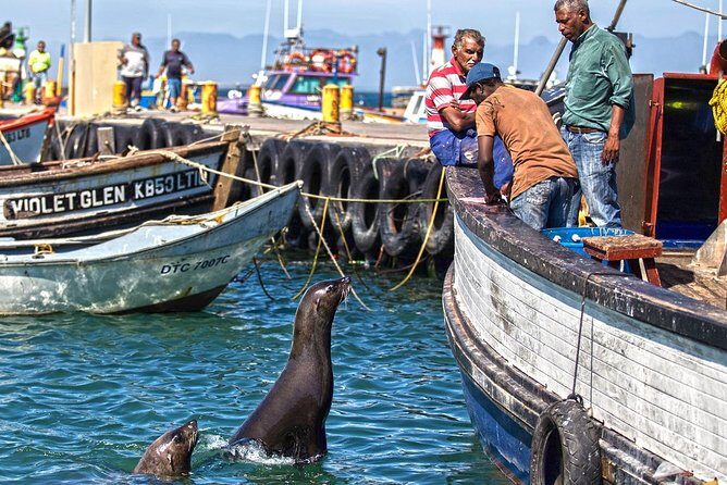 Cape Peninsula in a Vintage Car (Penguins, Cape Point & Chapman's Peak drive) - Stop 2: Boulders Beach Penguin Colony (and the Ticket Note)