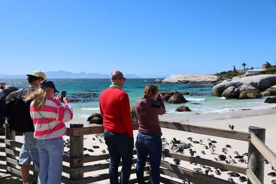 Cape Peninsula & Penguins Beach Half Day Tour from Cape Town - Price and value: what you’re really paying for