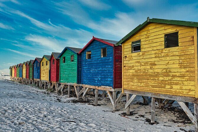 Cape Peninsula & Penguins Private Day Tour, Entrances Included. - Cape Point Nature Reserve: animals, vegetation, and space to wander