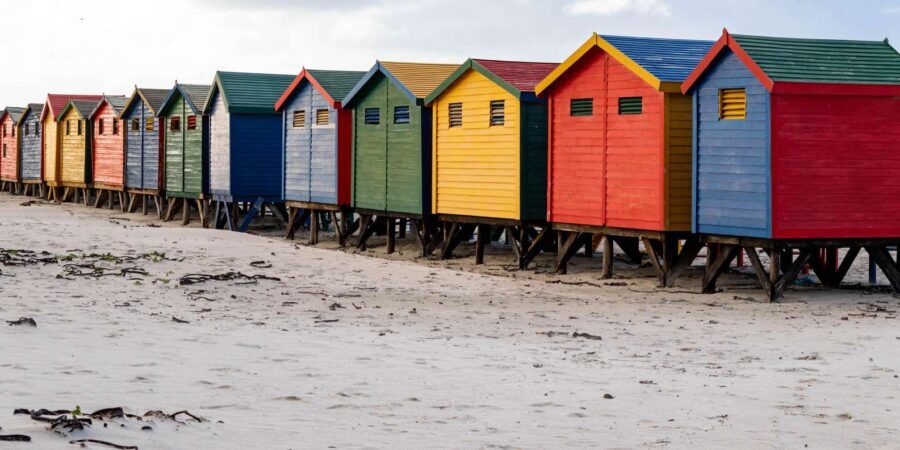 Cape Peninsula: Private Full Day Tour - $225 for a full peninsula loop: where the value comes from