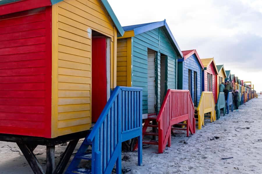 Cape Peninsula: Private Full Day Tour - Private guide energy: the difference you feel in real time