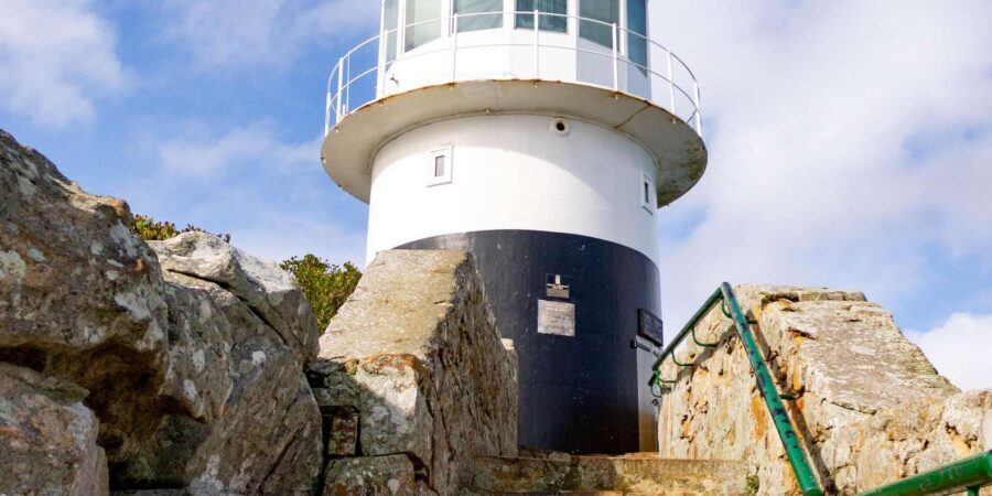 Cape Peninsula: Private Half Day Tour - What to bring (and what to skip) for a smoother Cape Day