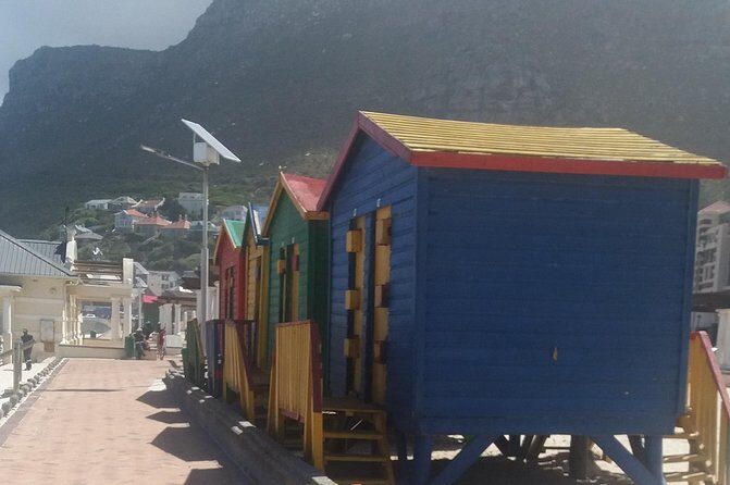 Cape Peninsula Private tour - A private-day saver for Cape Peninsula planning
