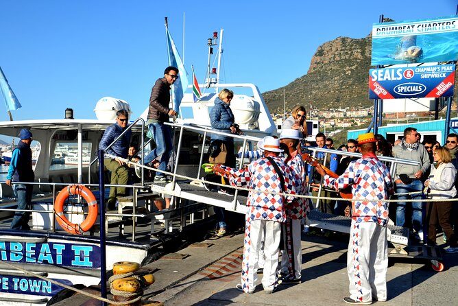 Cape Peninsula Private tour - Cape Point Nature Reserve: wildlife chances and lighthouse panoramas