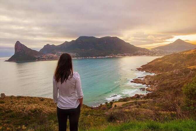 Cape Peninsula Private Tour with entrance fees to Cape of Good Hope and Penguins - Why this private Cape Peninsula day feels worth it