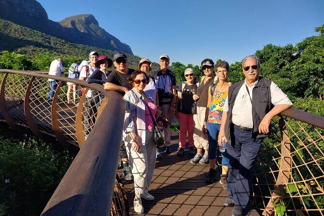 Cape Peninsula Tour Cape Town City - Boulders Beach penguin colony: threatened-bird conservation plus time to linger